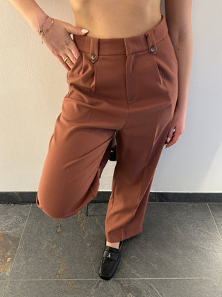 Pantalone con pence